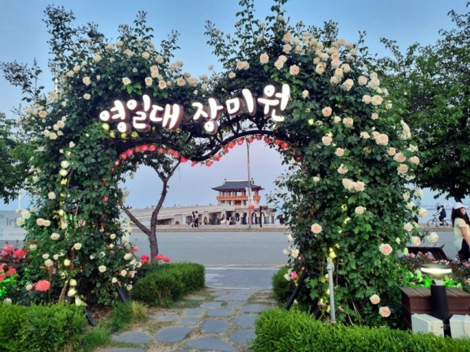 포항 영일대 장미원