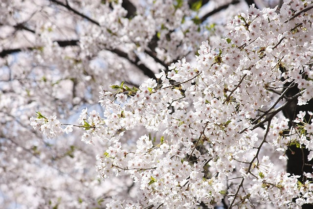 사계절 걷기 좋은 곳&amp;#44; 화담숲 산책로 완전 정복!