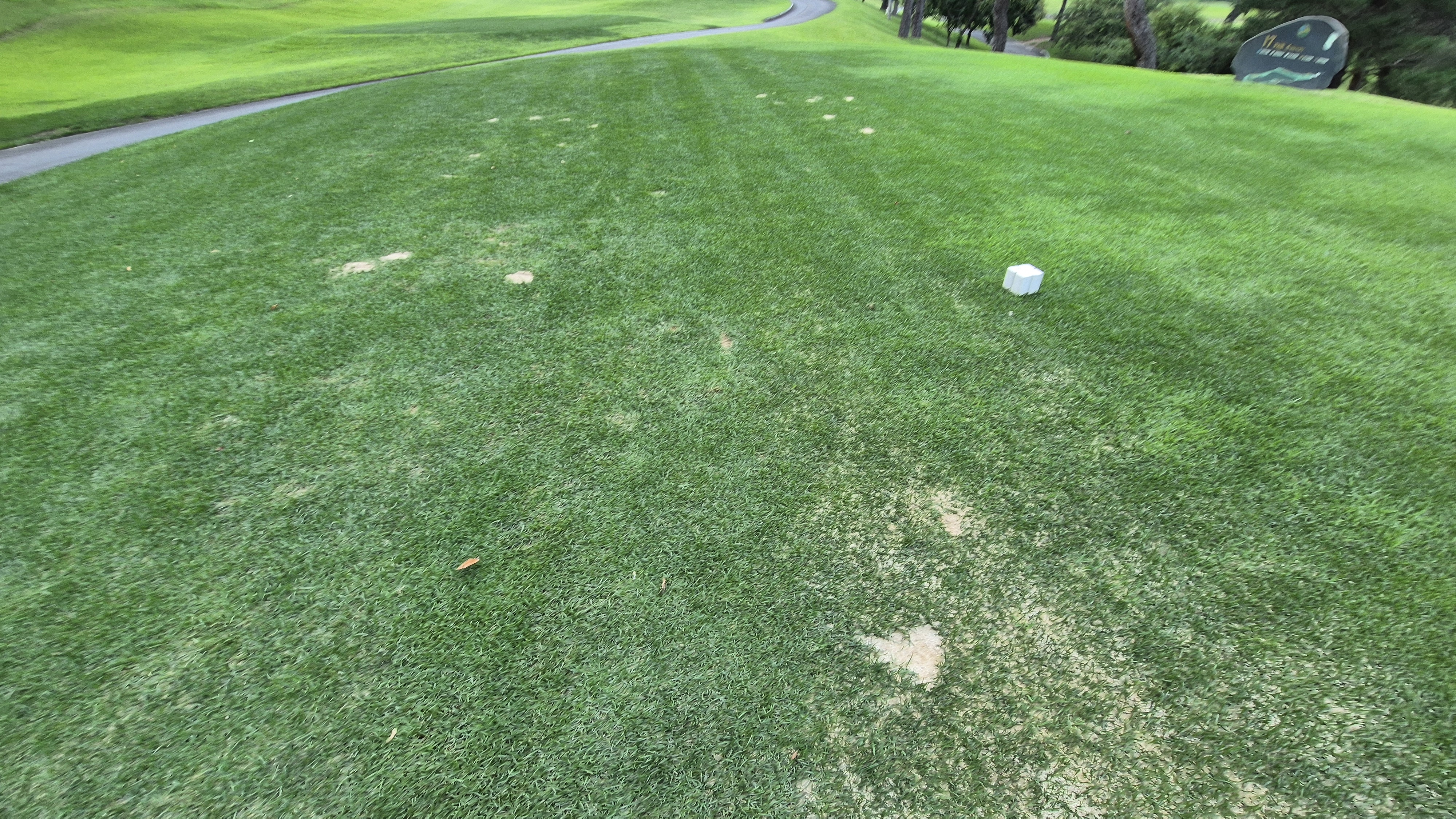 동원썬밸리cc 라운드 후기