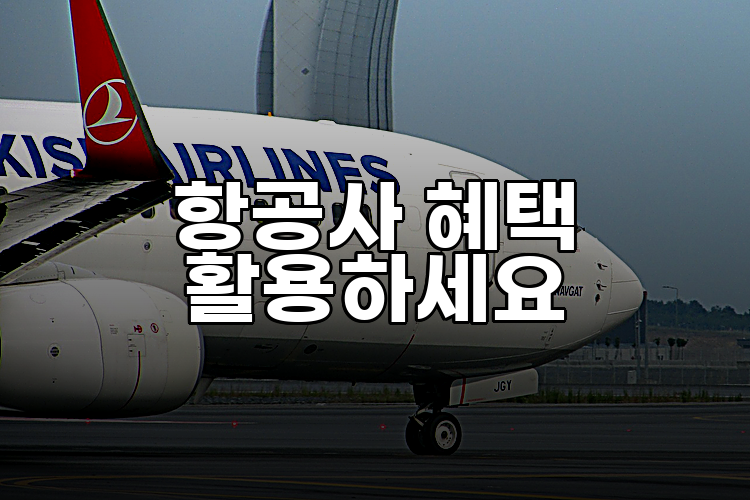 항공사 혜택 활용하세요