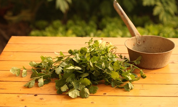 고대 힌두교 사원에서 수행된 치유 의식과 정신 건강 관리법