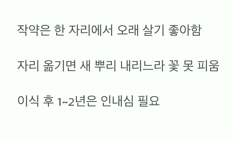 원인 넷: 자리 옮김의 몸살