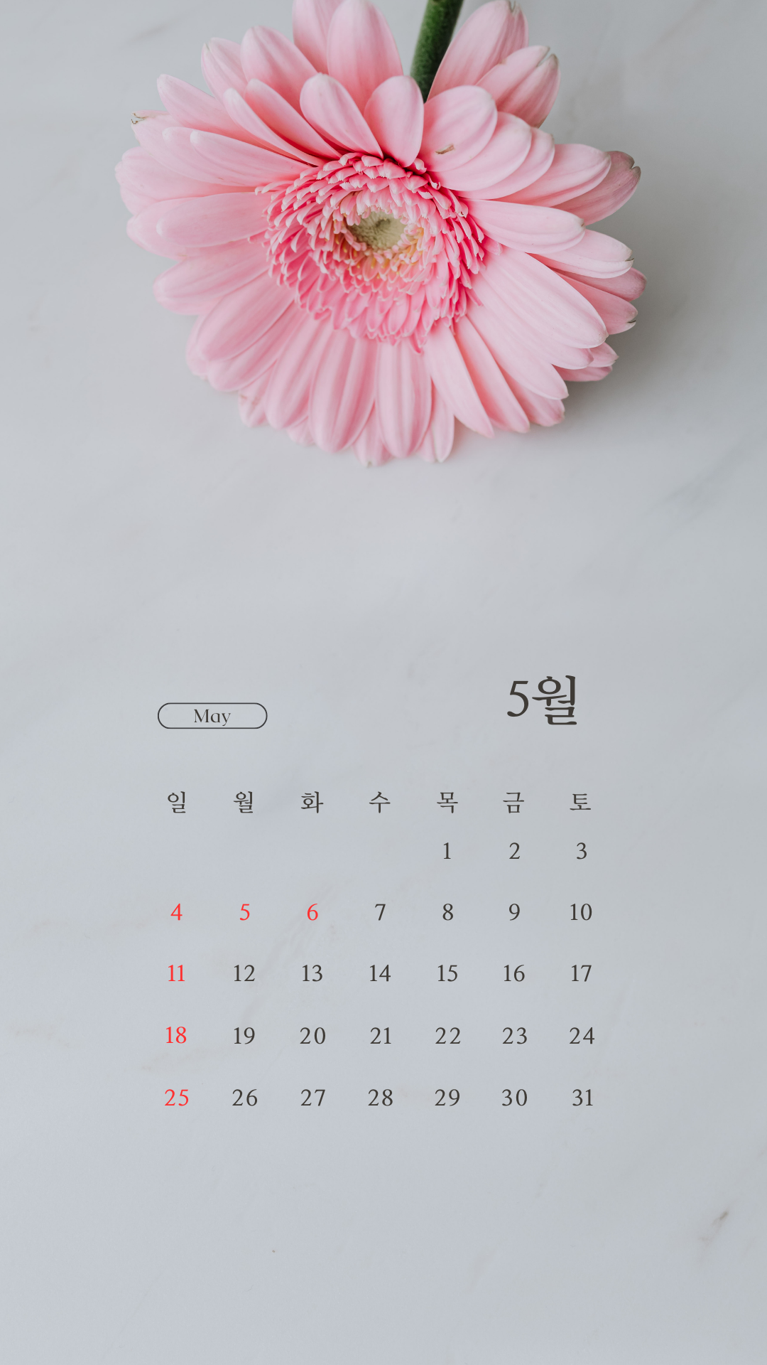 2025년 5월 달력 스마트폰 배경화면 이미지 그림 사진 모음