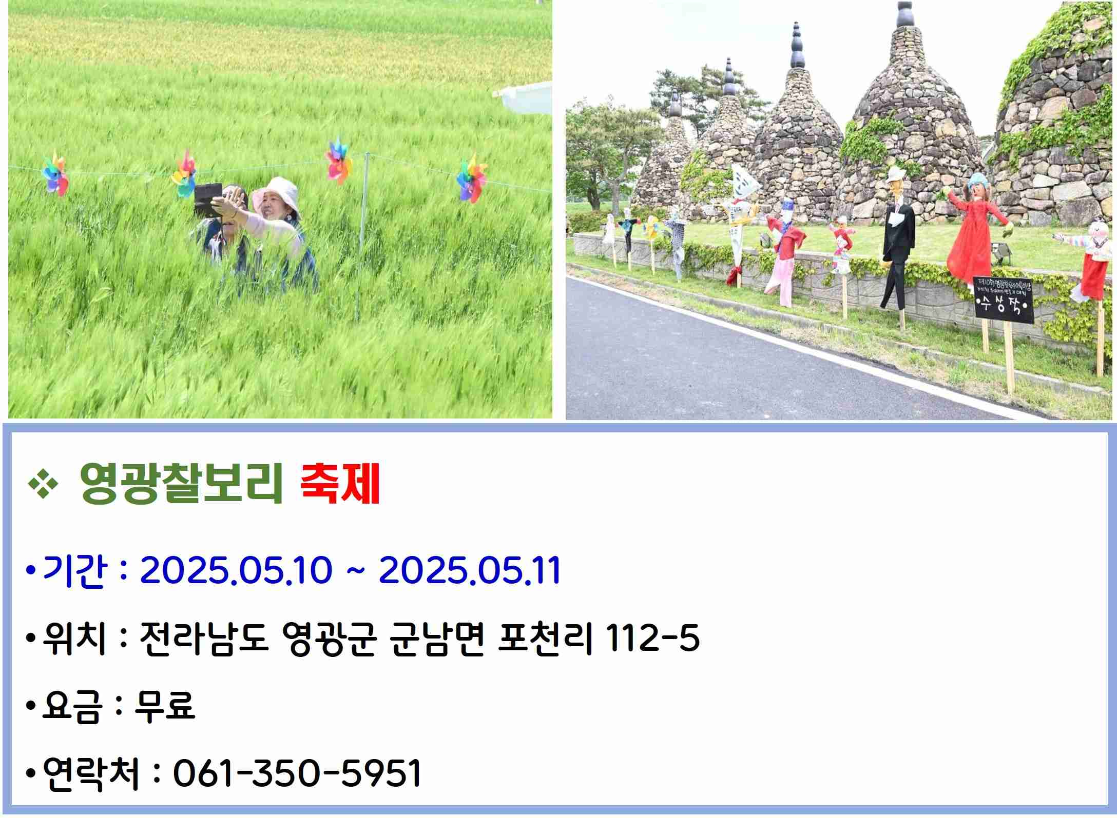 영광찰보리 축제