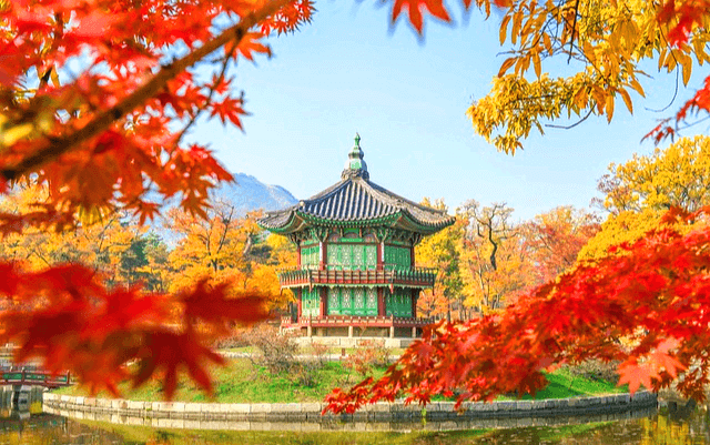 작은 기와 정자가 호수 위에 떠 있다. 정자 주변엔 빨간 단풍잎과 노란 은행잎이 가득하다.