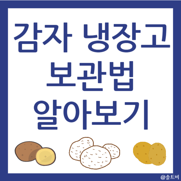 감자 냉장고 보관법
