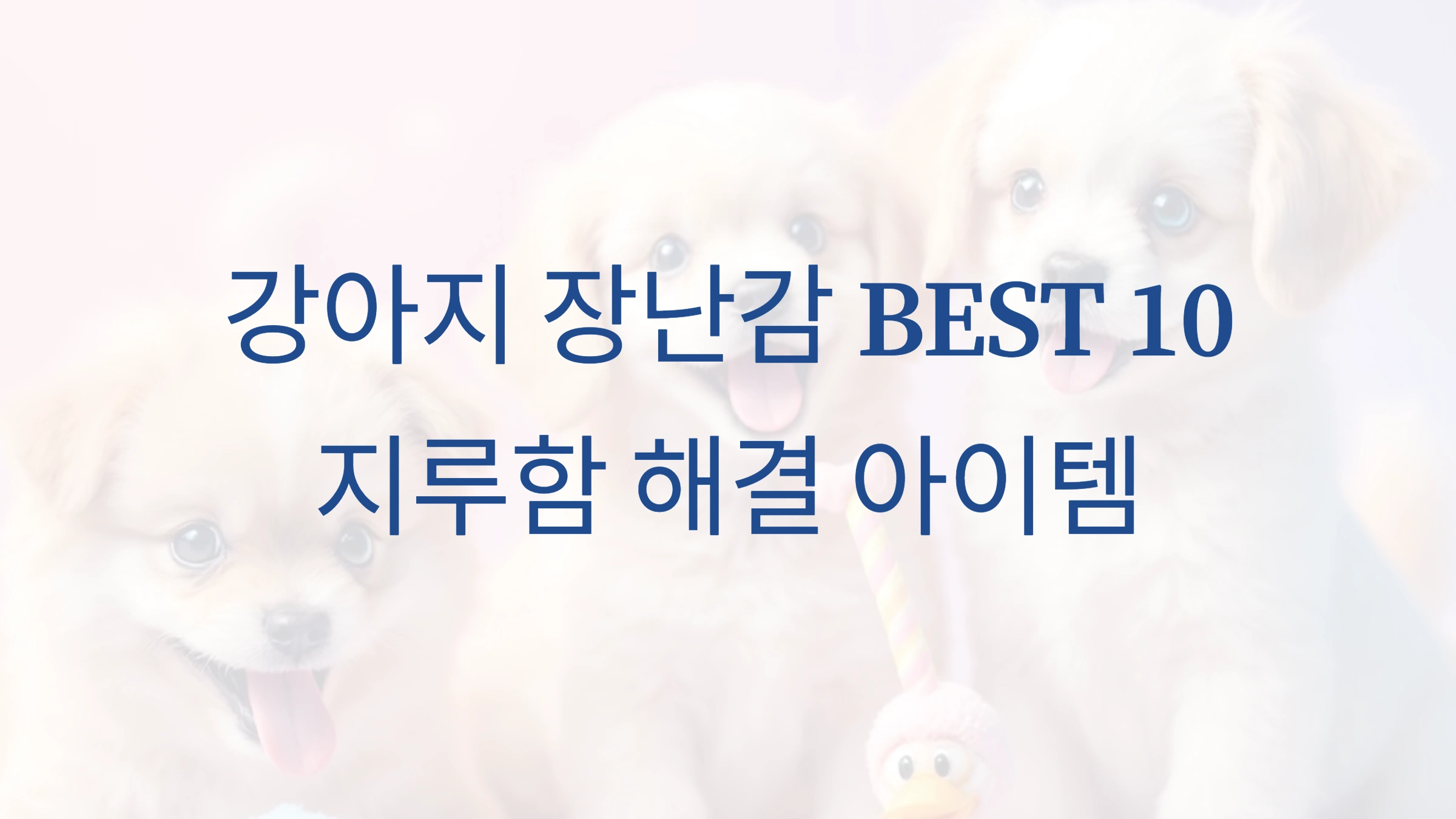 강아지 장난감 BEST 10: 지루함 해결 아이템
