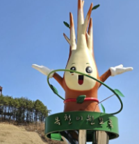 묘목6