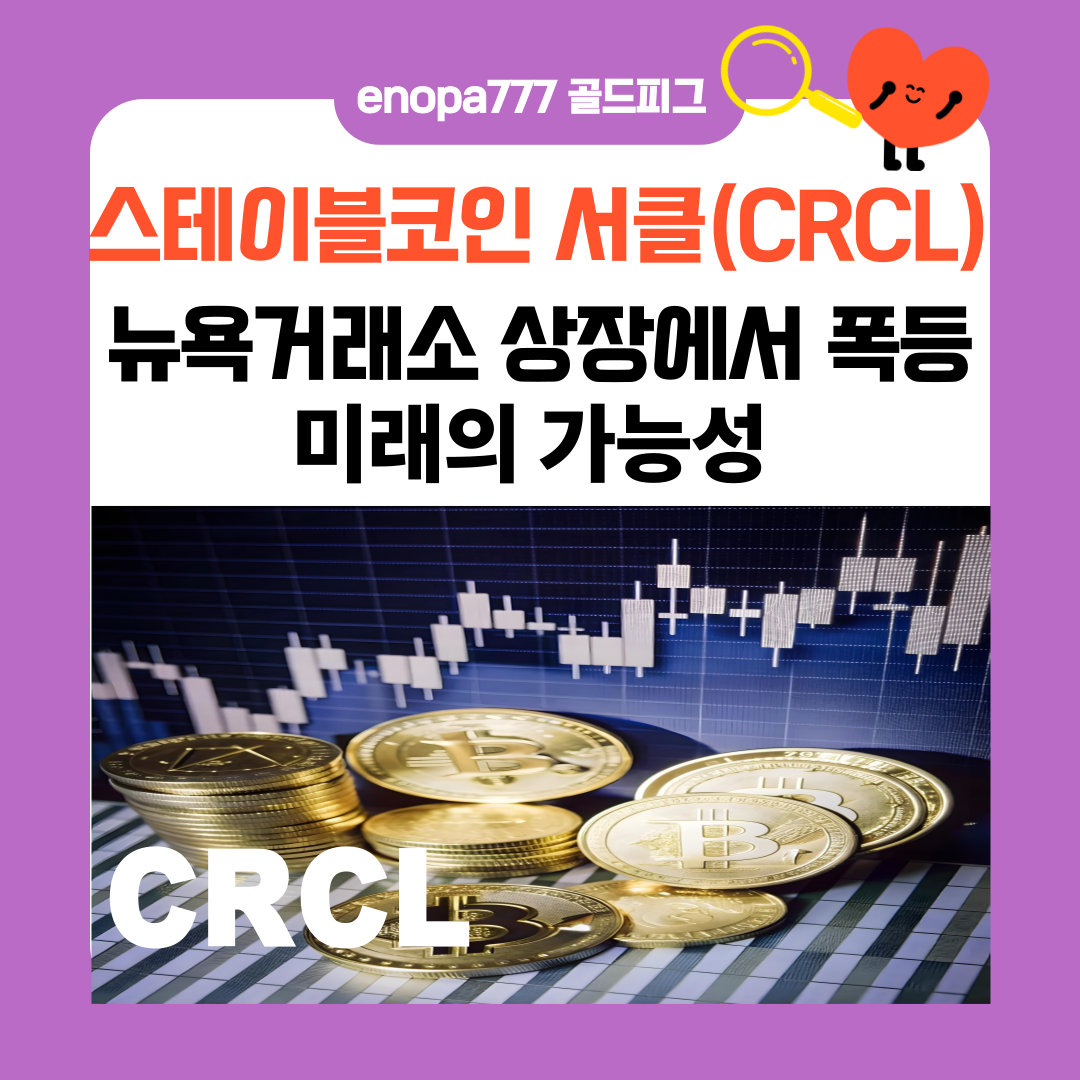 스테이블코인 서클(CRCL), 뉴욕거래소 상장에서 폭등, 미래의 가능성