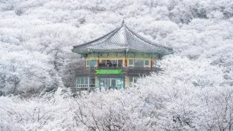 한라산 고지대 체감온도 방풍 재킷 스틱 준비물_21