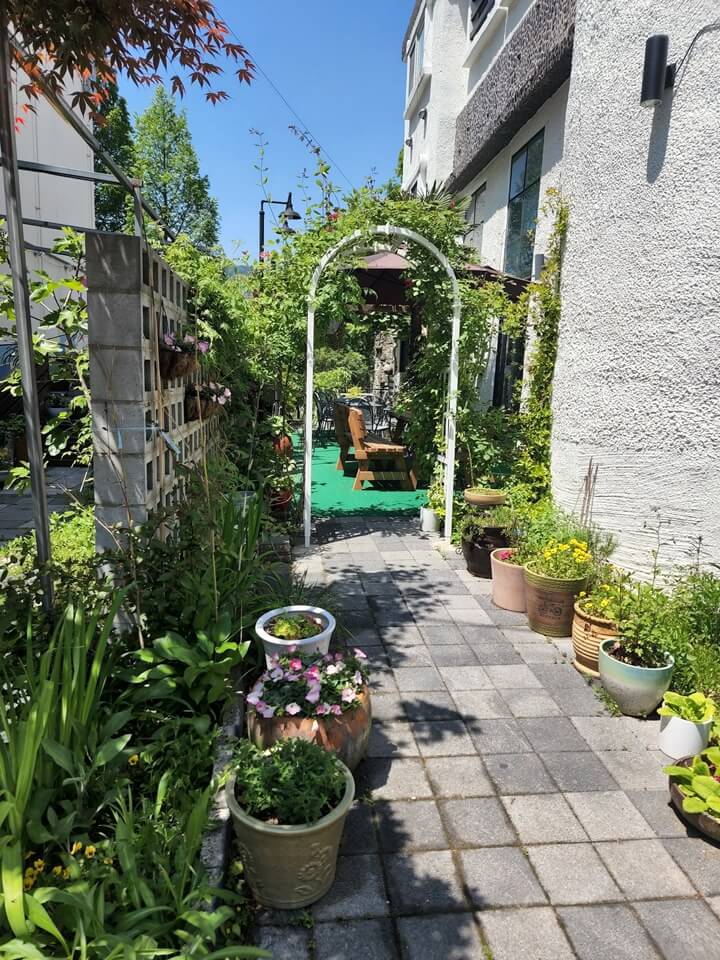 아치형으로 된 철 구조물에 핀 장미넝쿨과 화분들