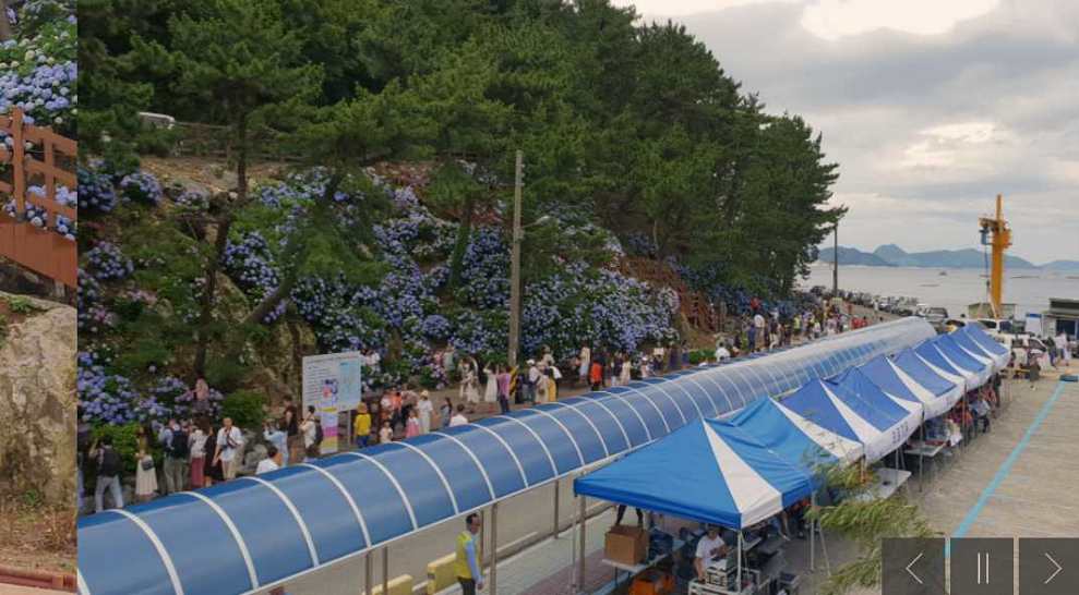 남부면 수국축제