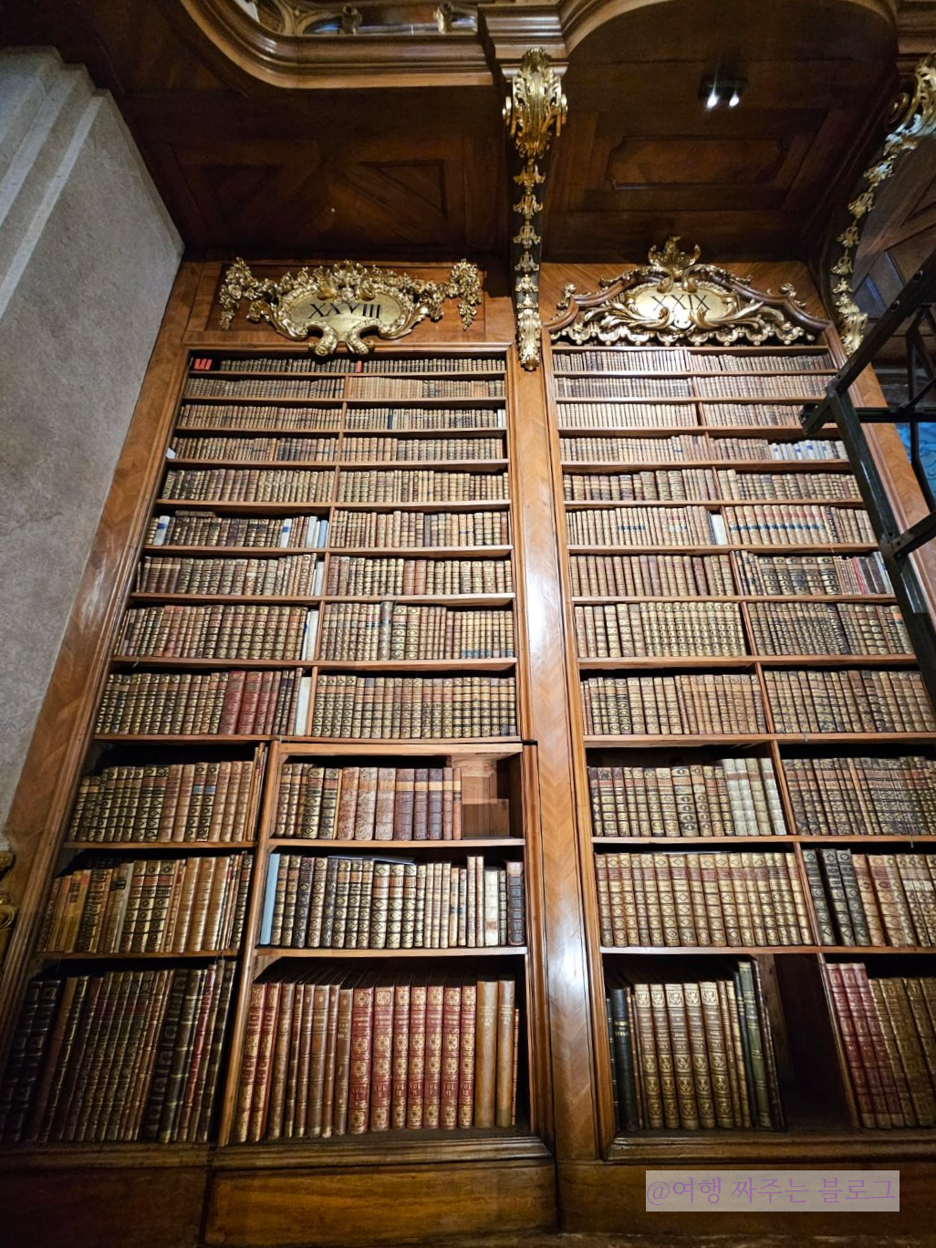 #오스트리아 국립 도서관 #오스트리아 여행 #비엔나 여행