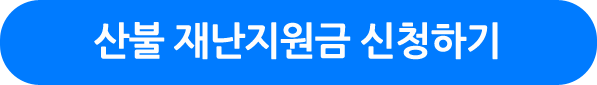 산불 재난지원금 신청하기