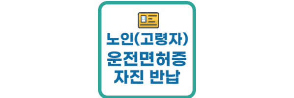 노인 운전면허증 반납