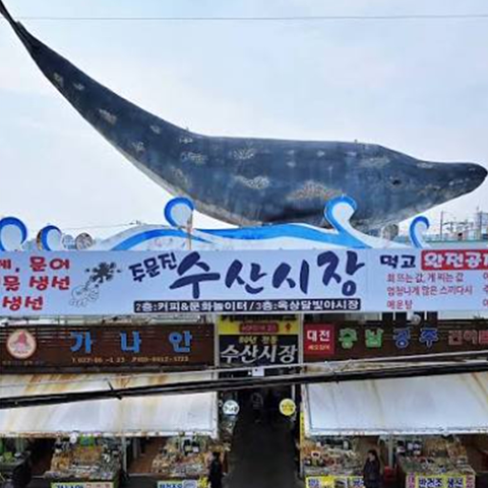 주문진 수산시장