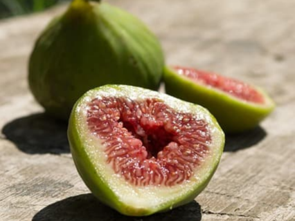 혈당 조절에 도움을 주는 무화과