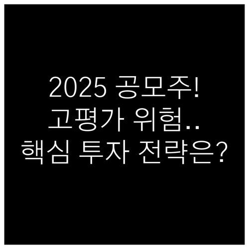 2025년 공모주 청약, 고평가 경계..