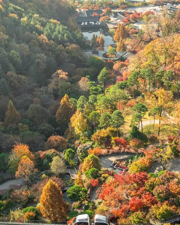 화담숲-입장료-할인-운영시간