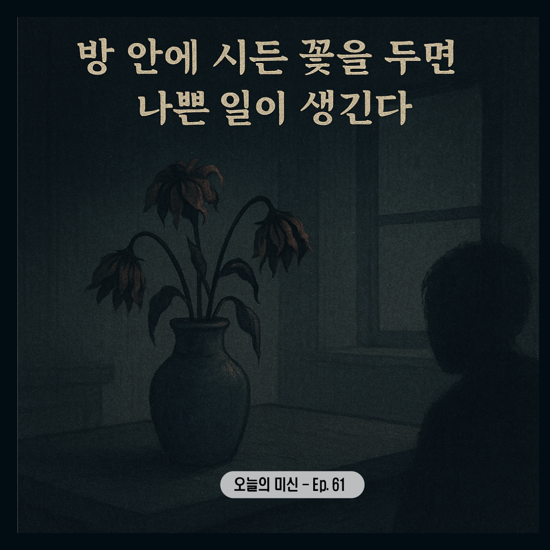 [미신 꿈 괴담]방 안에 시든 꽃을 두면 나쁜 일이 생긴다?-썸네일