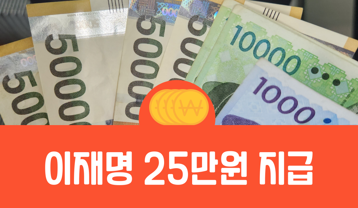 이재명 25만원 지급