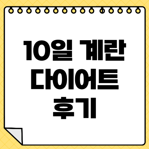 10일 계란 다이어트 후기