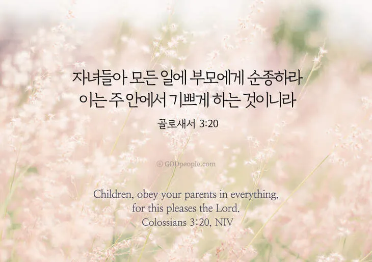 골로새서 3장 23절 묵상 - 무엇을 하든지 마음을 다하여 주께 하듯 하고_7