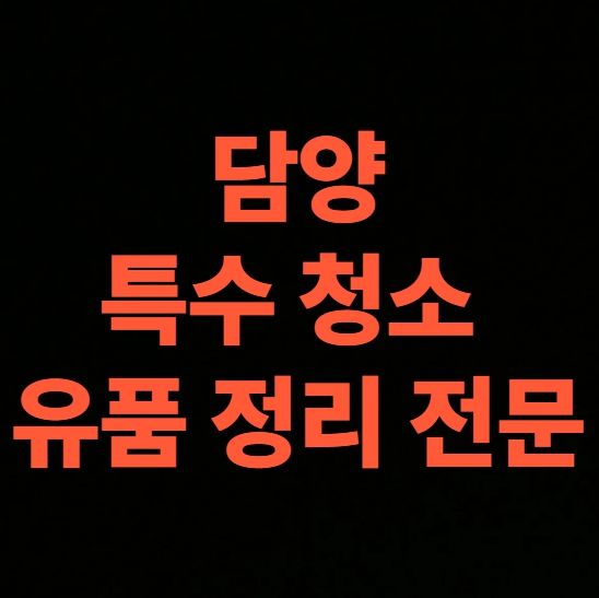 담양 고독사청소 업체