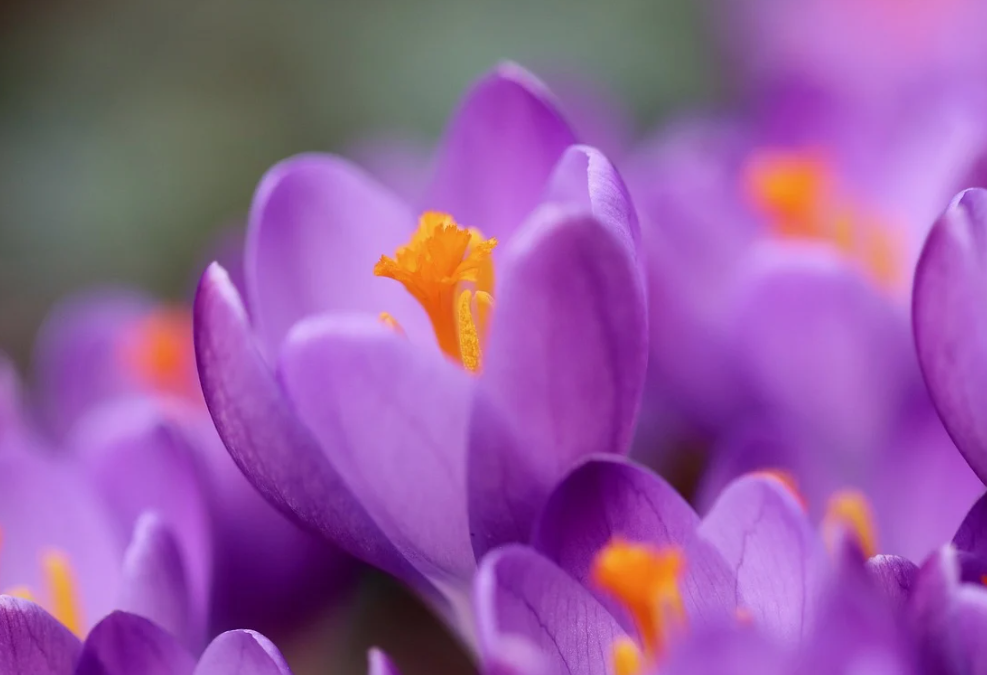 월요일 아침인사말