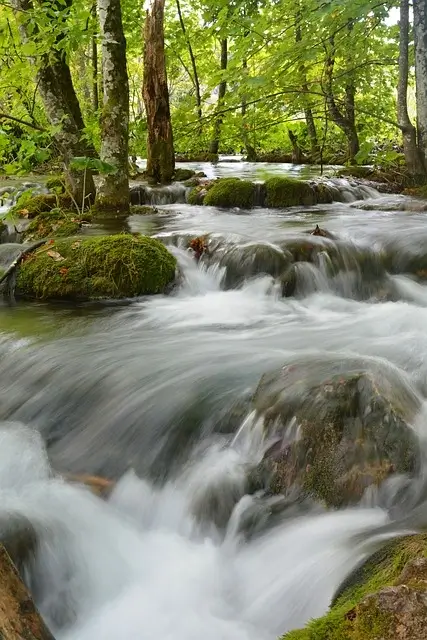 국립공원 예약시스템