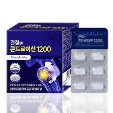 콘드로이친