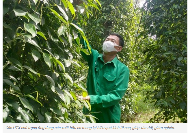 HTX가 포함된 기사 사진