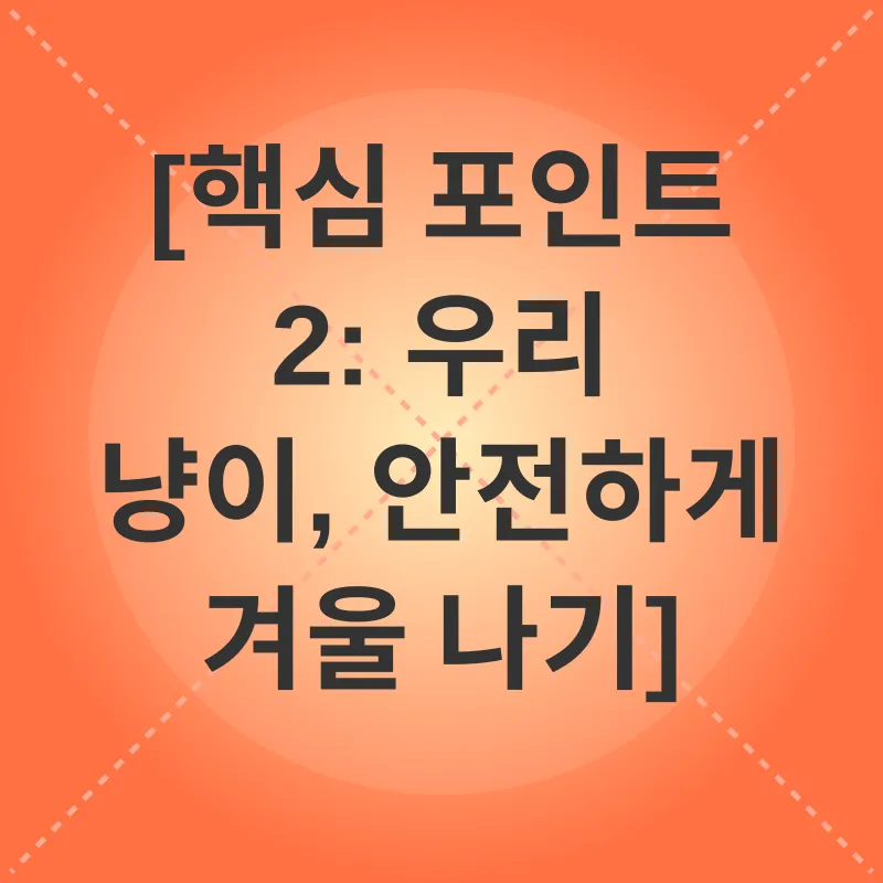 고양이 겨울철 화상 예방_2