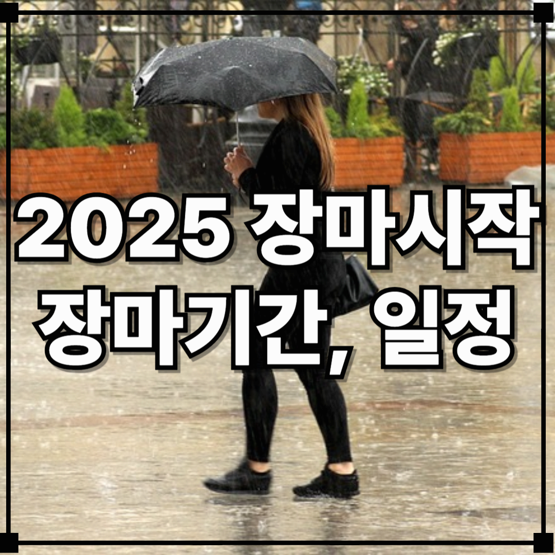 2025년 장마 시작은 언제? 장마기간과 예상 일정 총정리