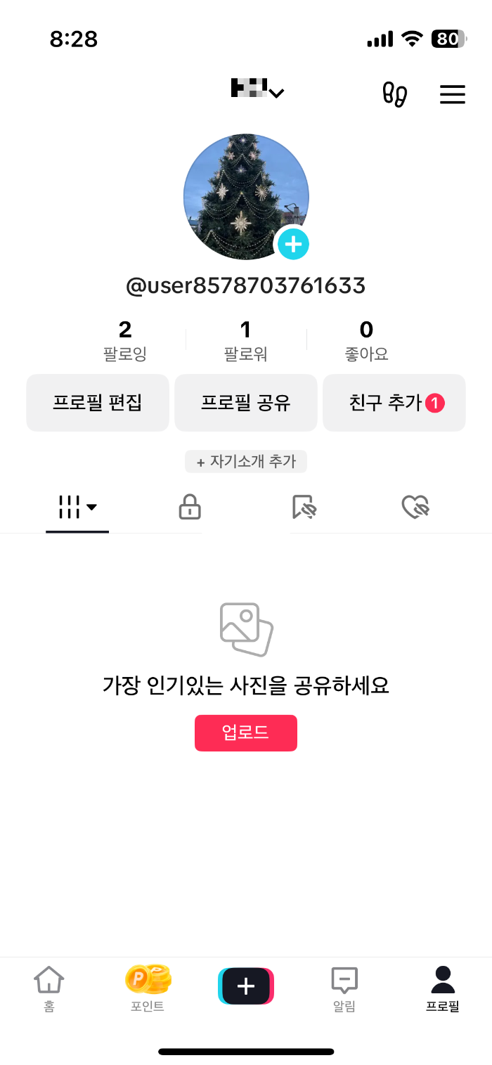 틱톡라이트앱설명