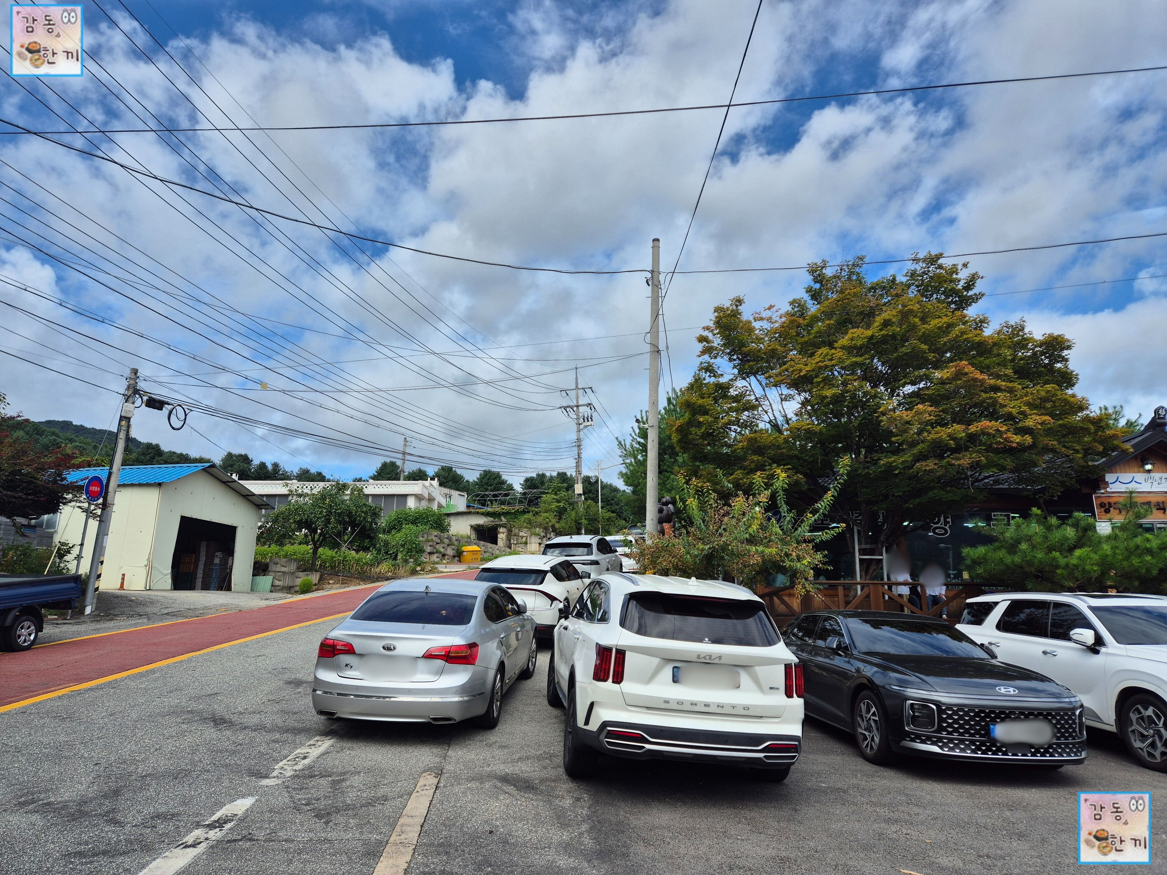 양구 재래식손두부 본점 도로변 주차 가능장소