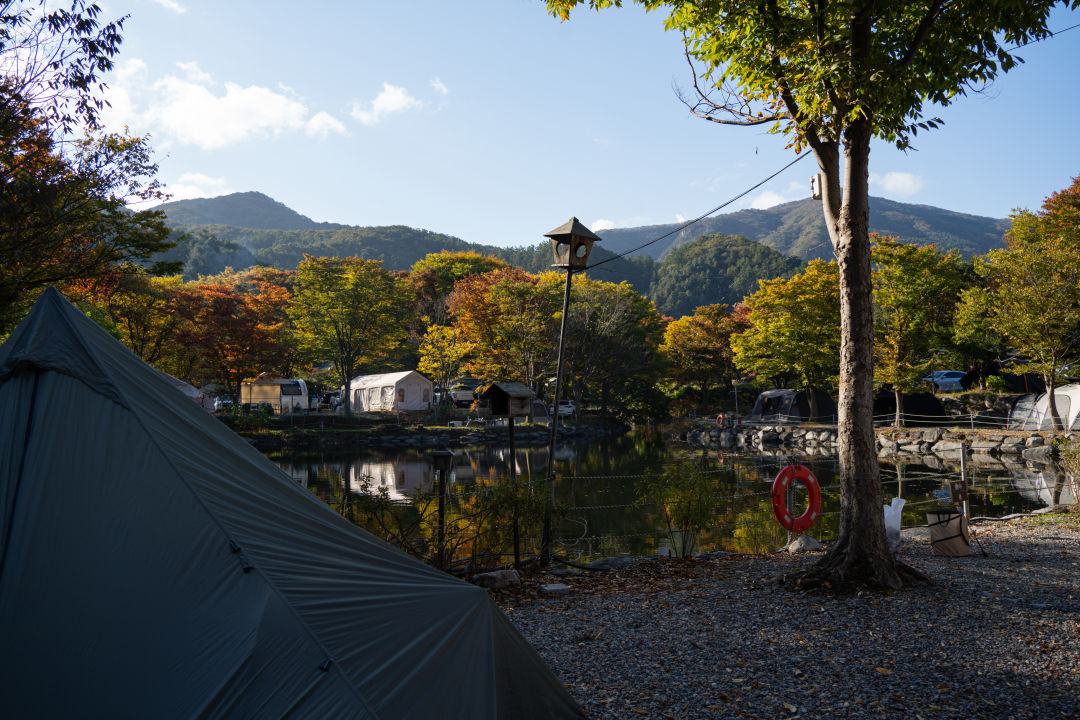 유명산 밸리 캠프장