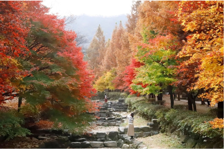 상소동 산림욕장