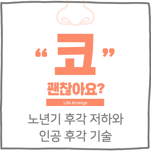 노년기 후각 저하