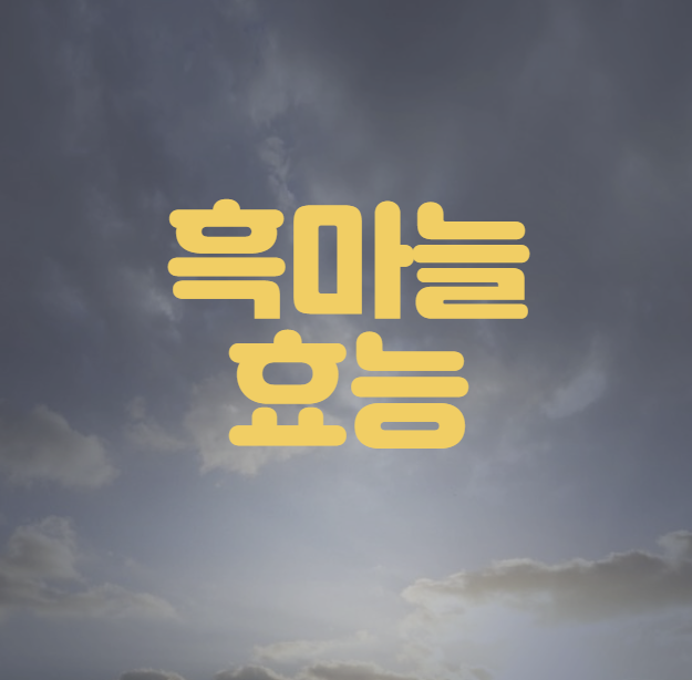 흑마늘 효능
