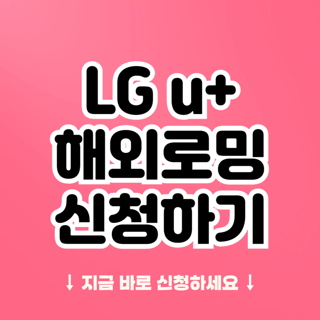 LG유플러스 로밍