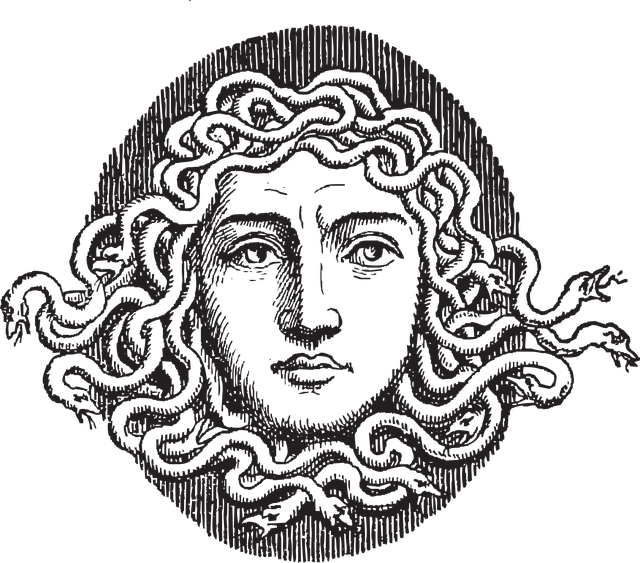 그리스 로마 신화의 메두사 이미지