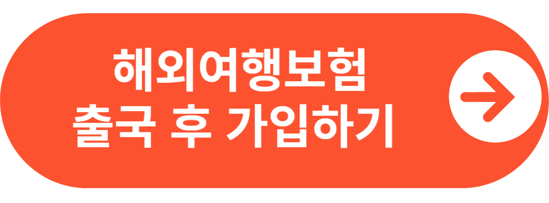 여행자보험 출국 후 가입하기