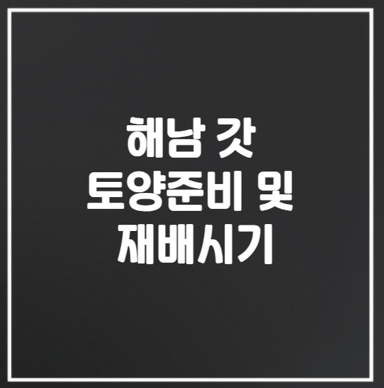 갓 재배의 시작 토양 준비와 파종