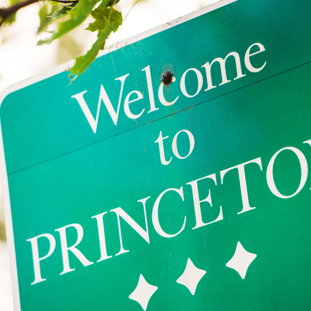 2024년 세계 대학 순위 100