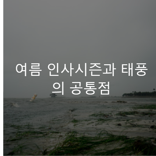 typhoon