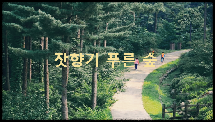 잣향기 푸른 숲