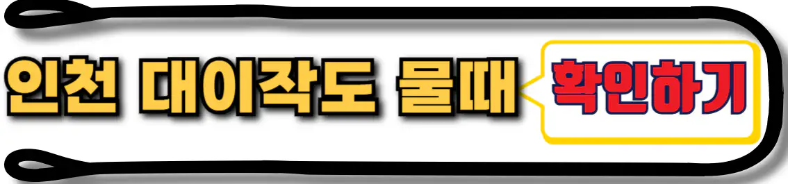 대이작도 물때
