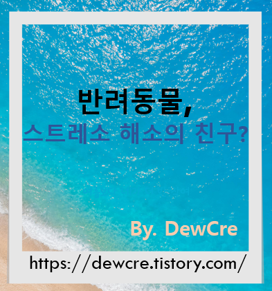 반려동물과 함께하는 시간, 스트레스를 해소하는 마법 같은 비밀