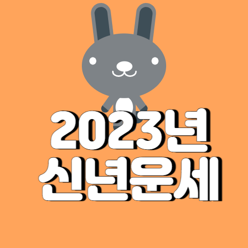 23년 신년운세